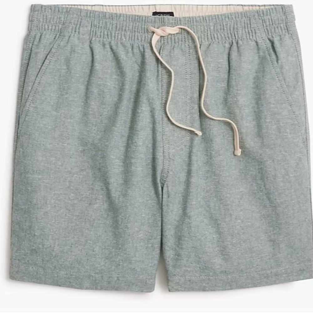 J. Crew Light Green Flat Front Men Shorts